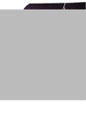 آریا ماشین دنا